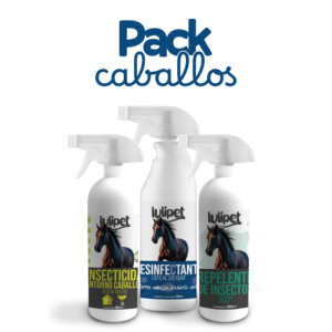 Pack Caballos